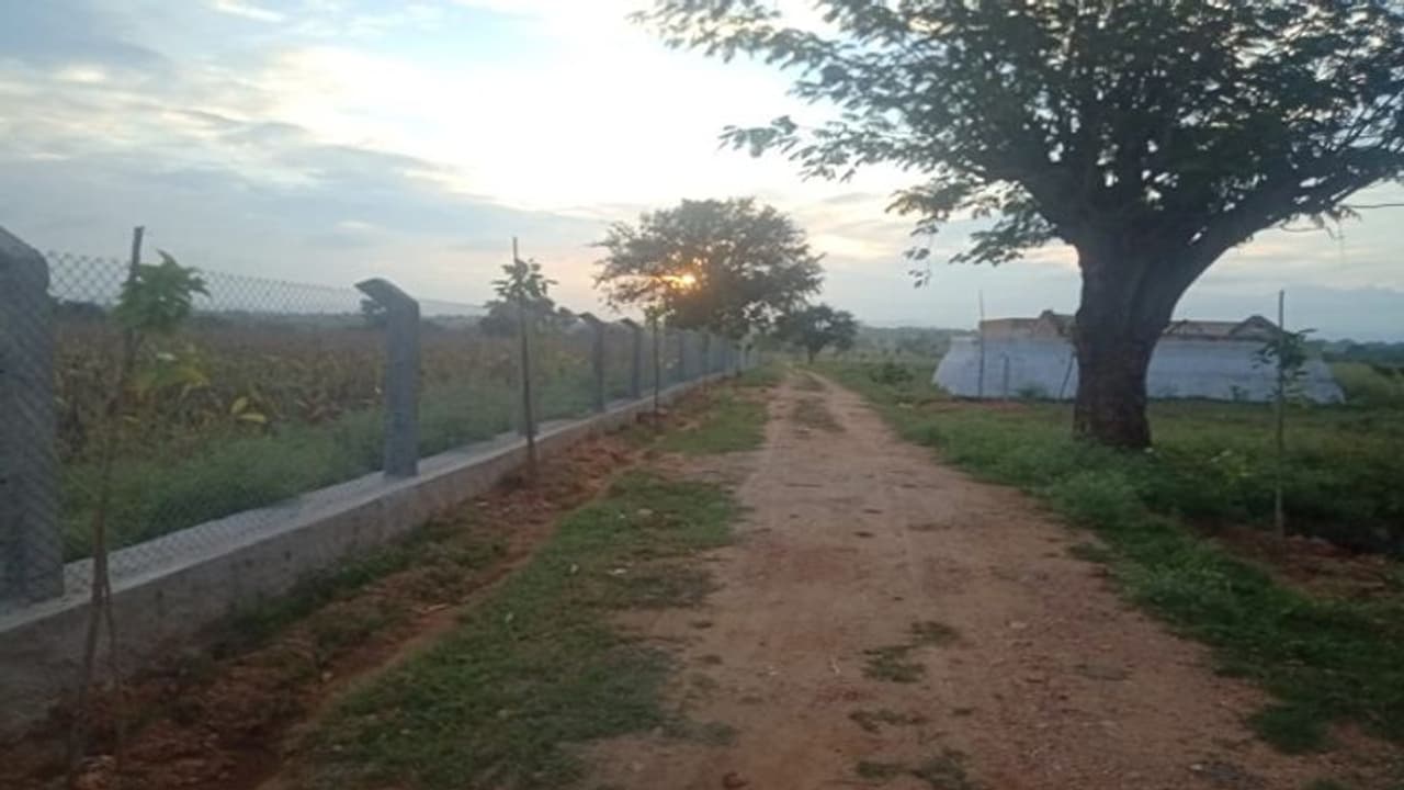 ಹೂವಿನಹಡಗಲಿಯಲ್ಲಿ ರಾಜ್ಯದ ಅತಿ ದೊಡ್ಡ ಇಕೋ ಪಾರ್ಕ್ ನಿರ್ಮಾಣ