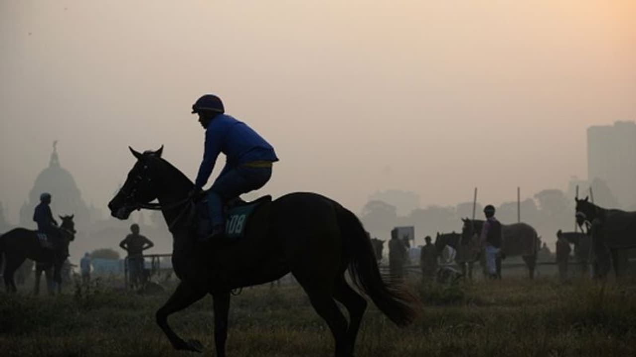 ঝকঝকে রোদের সঙ্গে পরিষ্কার আকাশ, শীতল হাওয়ায় বেশ আছে শহর কলকাতা ঝকঝকে রোদের সঙ্গে পরিষ্কার আকাশ, শীতল হাওয়ায় বেশ আছে শহর কলকাতা