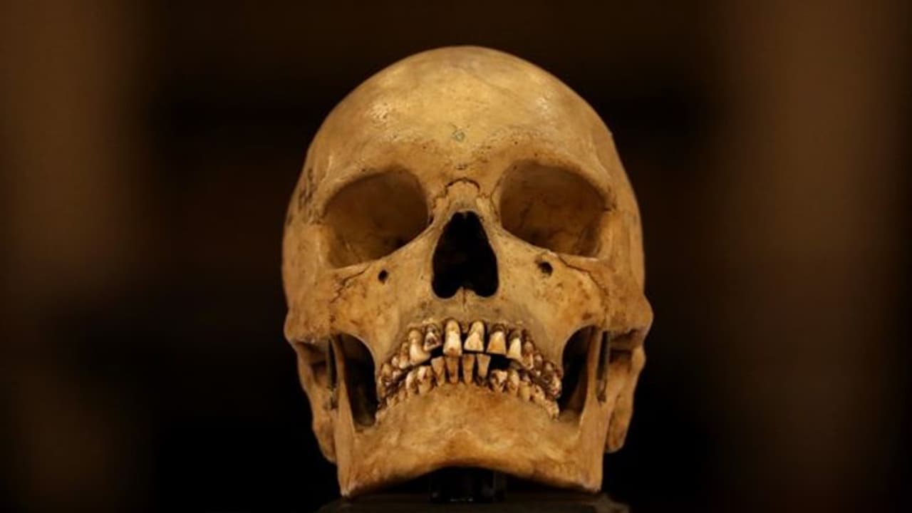 ಗಂಡು ಮಗು ಹುಟ್ಟಿದ ಖುಷಿ : 19 ವರ್ಷದ ತರುಣನ ಬಲಿ ನೀಡಿದ ದುರುಳ ಗಂಡು ಮಗು ಹುಟ್ಟಿದ ಖುಷಿ : 19 ವರ್ಷದ ತರುಣನ ಬಲಿ ನೀಡಿದ ದುರುಳ