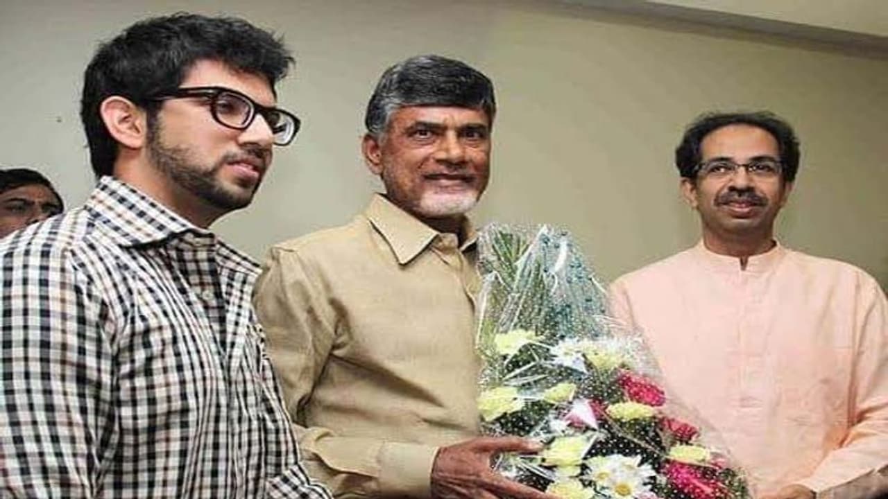 శివసేనకు దక్కని సీఎం కుర్చీ : చంద్రబాబును ఏకిపారేస్తున్న వైసీపీ సోషల్ మీడియా శివసేనకు దక్కని సీఎం కుర్చీ : చంద్రబాబును ఏకిపారేస్తున్న వైసీపీ సోషల్ మీడియా