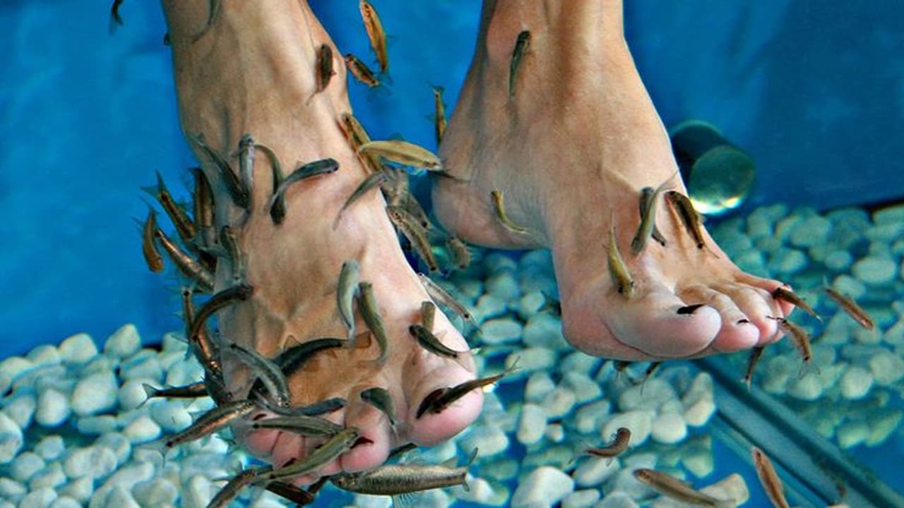 இப்படி ஒரு "ஸ்பா" வாழ்க்கையில் நீங்கள் போனதுண்டா..? நம்ம ஊரு குளத்தில் கிடைப்பது.. இன்று இன்டர்நேஷனல் பிசினஸ்...! இப்படி ஒரு "ஸ்பா" வாழ்க்கையில் நீங்கள் போனதுண்டா..? நம்ம ஊரு குளத்தில் கிடைப்பது.. இன்று இன்டர்நேஷனல் பிசினஸ்...!