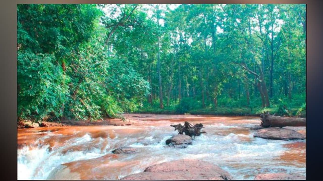 হাতে দু তিন দিনের ছুটি, স্বল্প বাজেটে দেখে আসুন সারান্ডা হাতে দু তিন দিনের ছুটি, স্বল্প বাজেটে দেখে আসুন সারান্ডা