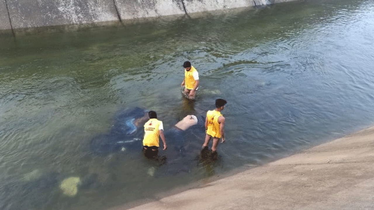 खुशी खुशी घर लौट रहा था एक परिवार, लेकिन एक झटके में खत्म हो गया सब और तैरने लगी लाशें... खुशी खुशी घर लौट रहा था एक परिवार, लेकिन एक झटके में खत्म हो गया सब और तैरने लगी लाशें...