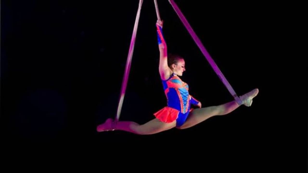 30 അടി മുകളില്നിന്നുള്ള സാഹസിക പ്രകടനത്തിനിടെ താഴെ വീണ് സര്ക്കസ് കലാകാരി 30 അടി മുകളില്നിന്നുള്ള സാഹസിക പ്രകടനത്തിനിടെ താഴെ വീണ് സര്ക്കസ് കലാകാരി