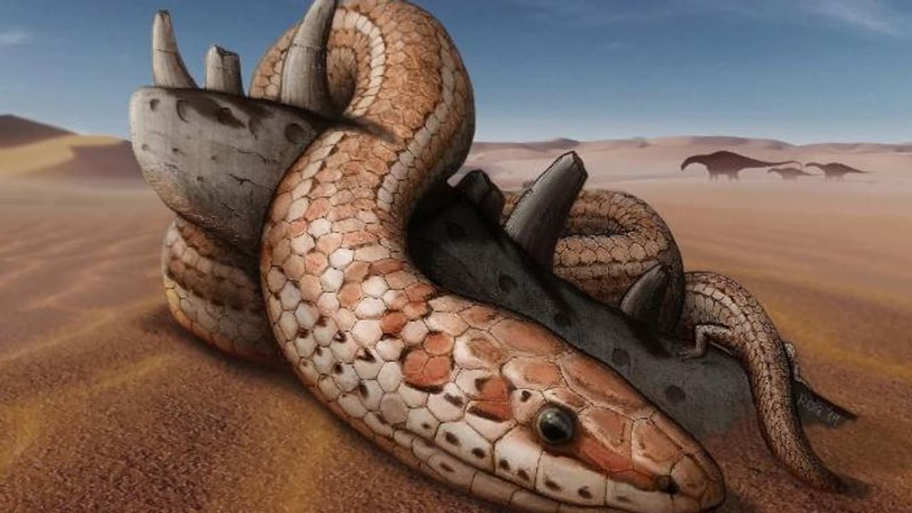 70 ദശലക്ഷക്കാലം പാമ്പുകള് ജീവിച്ചത് പിന്കാലുകളുമായി? പുതിയ പഠനങ്ങള് തെളിയിക്കുന്നതെന്ത്? 70 ദശലക്ഷക്കാലം പാമ്പുകള് ജീവിച്ചത് പിന്കാലുകളുമായി? പുതിയ പഠനങ്ങള് തെളിയിക്കുന്നതെന്ത്?