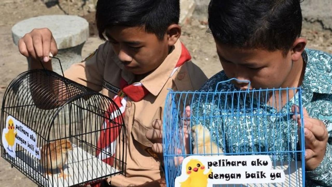 മൊബൈലിന്റെ അമിത ഉപയോഗം; കുട്ടികളെ വ്യതിചലിപ്പിക്കാൻ പുത്തൻ ആശയവുമായി ഈ നഗരം മൊബൈലിന്റെ അമിത ഉപയോഗം; കുട്ടികളെ വ്യതിചലിപ്പിക്കാൻ പുത്തൻ ആശയവുമായി ഈ നഗരം