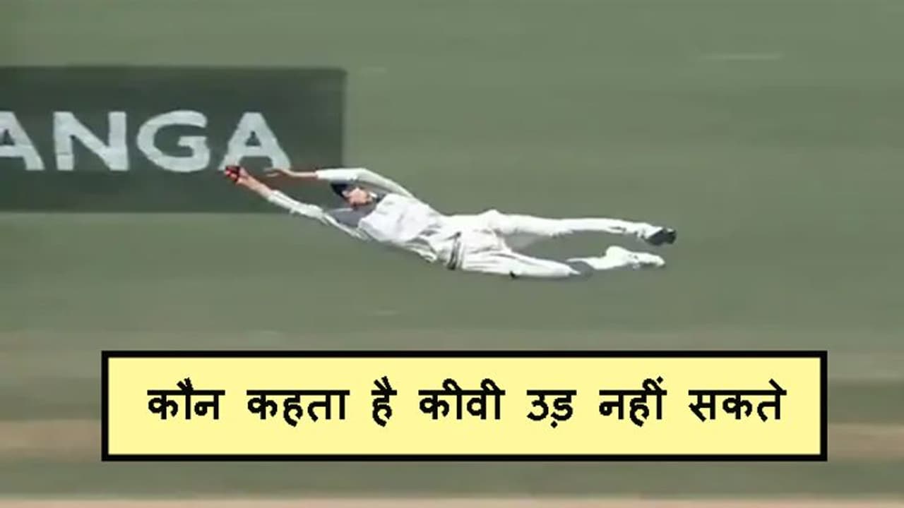 न्यूजीलैंड के ऑलराउंडर ने हवा में क्या डाइव लगाया, उल्टे हाथ से पकड़ा शानदार कैच न्यूजीलैंड के ऑलराउंडर ने हवा में क्या डाइव लगाया, उल्टे हाथ से पकड़ा शानदार कैच