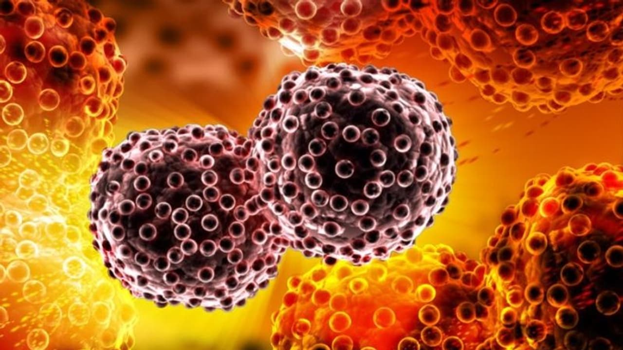 ക്യാന്സര് ബാധിച്ചവര് മരിക്കുന്നതിന് പ്രധാന കാരണം ഈ രോഗങ്ങള്; പുതിയ പഠനം പറയുന്നത്... ക്യാന്സര് ബാധിച്ചവര് മരിക്കുന്നതിന് പ്രധാന കാരണം ഈ രോഗങ്ങള്; പുതിയ പഠനം പറയുന്നത്...