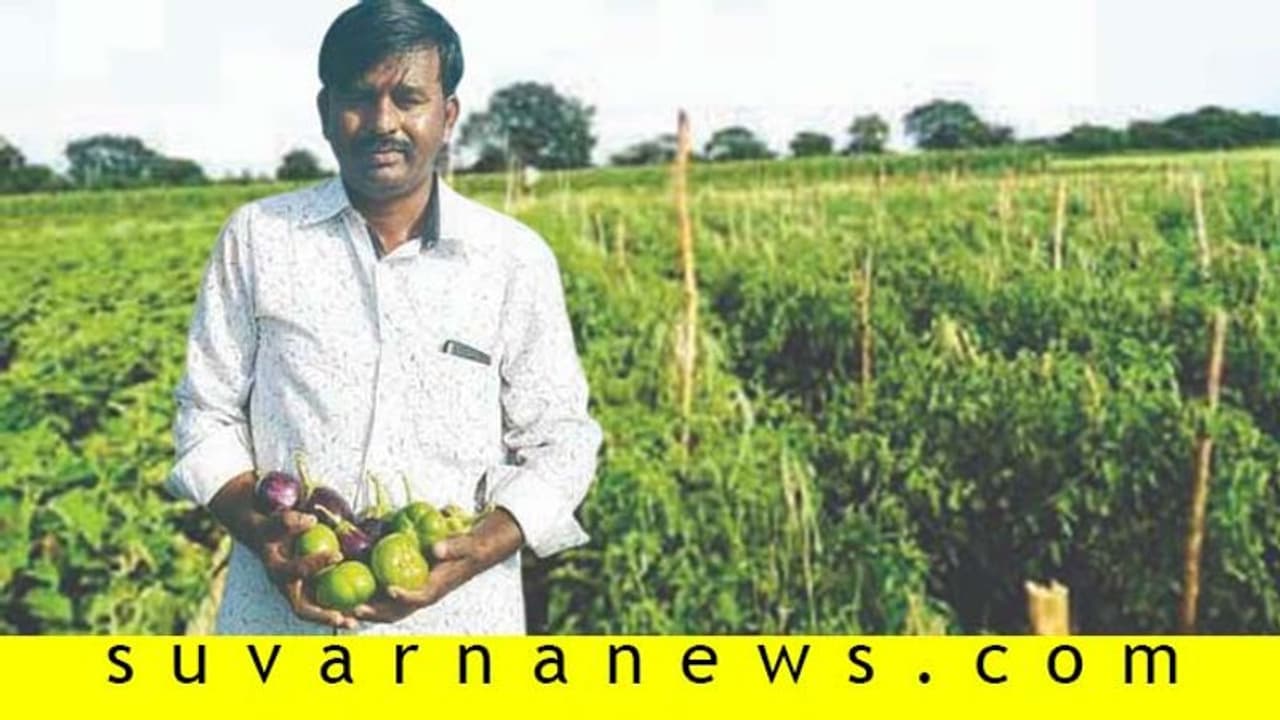 ಮೆಕ್ಕೆಜೋಳದಲ್ಲಿ ಹೋದ ಹಣ ತರಕಾರಿಯಲ್ಲಿ ಬಂತು!