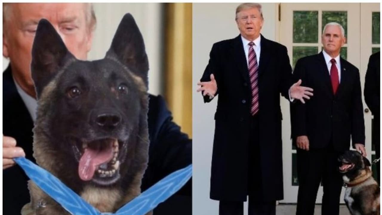 'കോനന്' അവാർഡും സർട്ടിഫിക്കറ്റും നൽകി ഡൊണാൾഡ് ട്രംപ് 'കോനന്' അവാർഡും സർട്ടിഫിക്കറ്റും നൽകി ഡൊണാൾഡ് ട്രംപ്