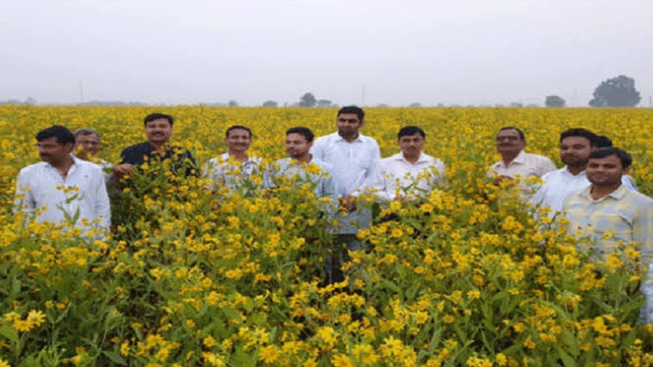 इस गांव की खेती को देखने के लिए आ रहे कमिश्रर और कलेक्टर, विदेशों तक पहुंची इसकी डिमांड