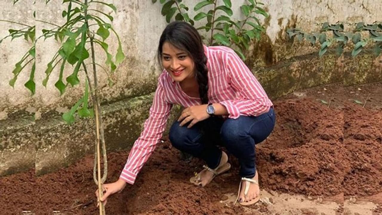 నటి రోజాకి బిగ్ బాస్ కంటెస్టంట్ భాను శ్రీ ఛాలెంజ్!