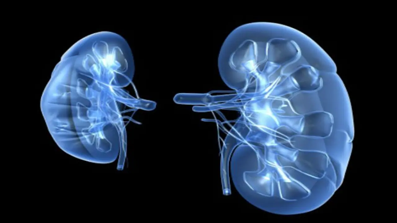 কিডনির ওজন ৭.৪ কেজি, বাদ দিয়ে নজির গড়লেন ভারতীয় চিকিৎসক কিডনির ওজন ৭.৪ কেজি, বাদ দিয়ে নজির গড়লেন ভারতীয় চিকিৎসক