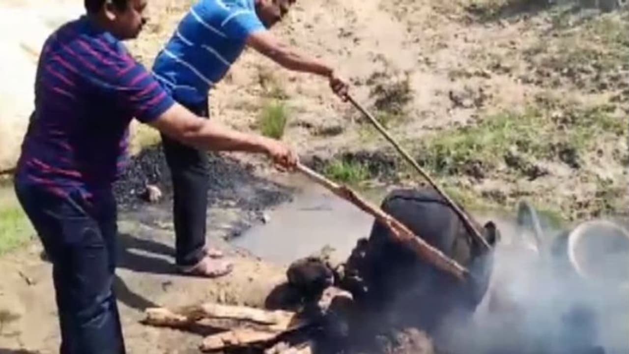ലോക് ഡൌണില്‍ അടുപ്പുകൂട്ടി വാറ്റ് സംഘങ്ങള്‍; തീകെടുത്തി എക്‌സൈസ്; കോഴിക്കോട് പിടികൂടിയത് 13,925 ലിറ്റര്‍ വാഷ്