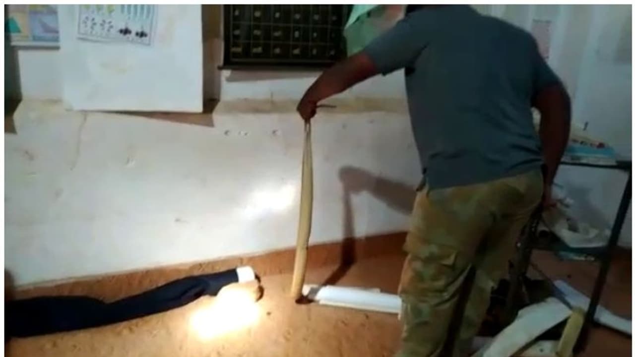 തൃശ്ശൂരില് സ്കൂൾ കെട്ടിടത്തിൽ നിന്ന് പാമ്പിനെ പിടികൂടി തൃശ്ശൂരില് സ്കൂൾ കെട്ടിടത്തിൽ നിന്ന് പാമ്പിനെ പിടികൂടി