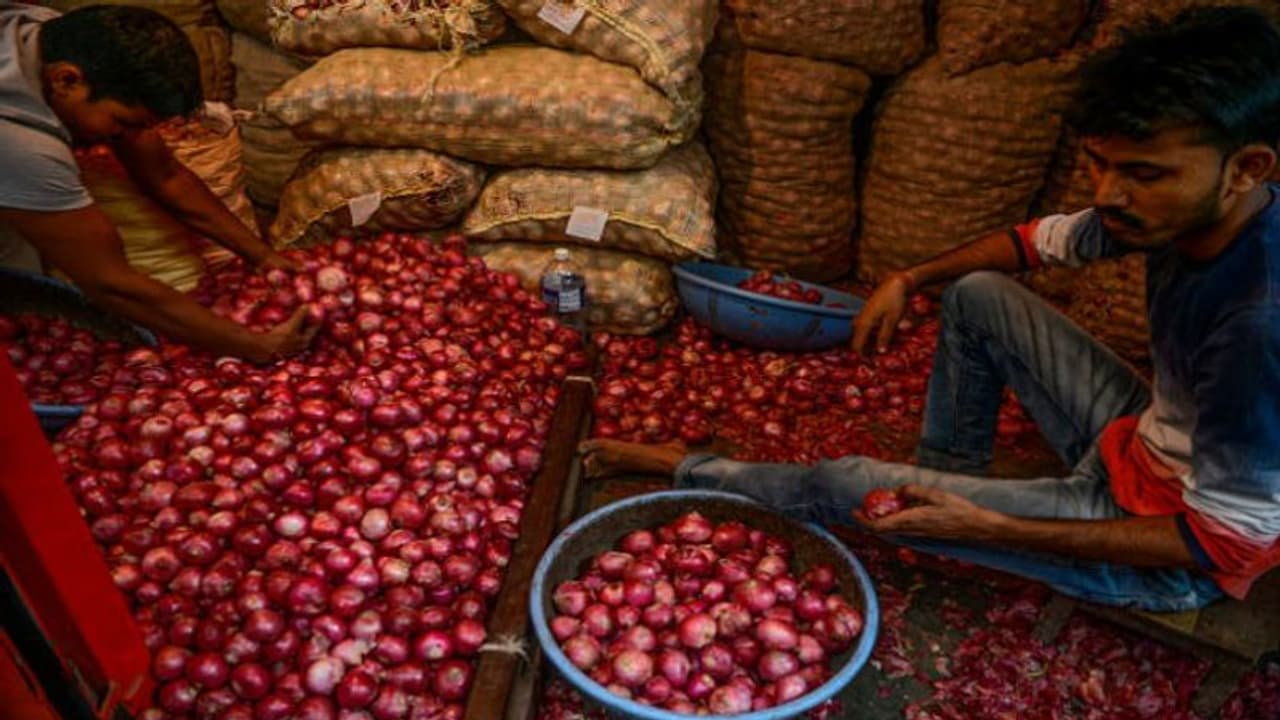 এখনই দাম কমার সম্ভাবনা নেই, পেঁয়াজ সংকট কাটাতে ভরসা এখন রাজস্থান এখনই দাম কমার সম্ভাবনা নেই, পেঁয়াজ সংকট কাটাতে ভরসা এখন রাজস্থান