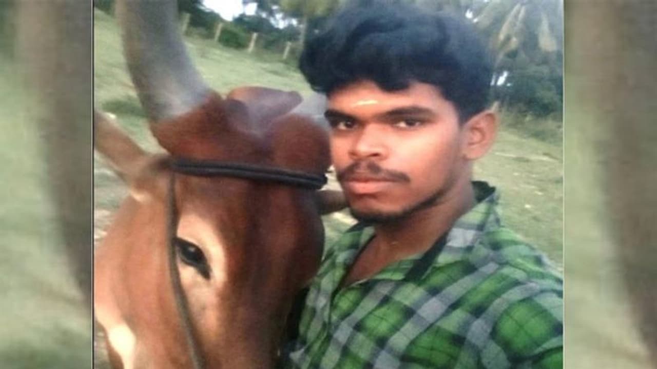 टिकटॉक के चक्कर में गई युवक की जान, सांड़ के साथ तालाब में बना रहा था वीडियो, दोस्त देखते रहे टिकटॉक के चक्कर में गई युवक की जान, सांड़ के साथ तालाब में बना रहा था वीडियो, दोस्त देखते रहे