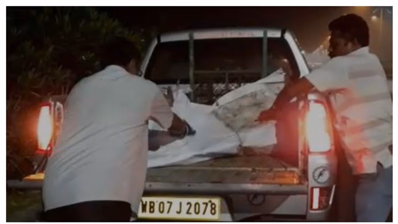 চিতাবাঘ ভেবে আতঙ্ক , বন্যপ্রাণীকে পিটিয়ে মারল শহরবাসী চিতাবাঘ ভেবে আতঙ্ক , বন্যপ্রাণীকে পিটিয়ে মারল শহরবাসী