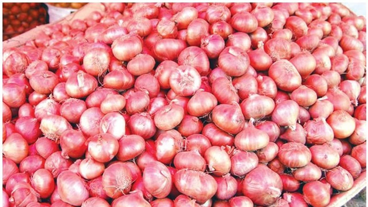 പണപ്പെട്ടിയിൽ തൊട്ടില്ല; അമൂല്യമായ ഉള്ളി മാത്രം മോഷ്ടിച്ച് കള്ളൻ പണപ്പെട്ടിയിൽ തൊട്ടില്ല; അമൂല്യമായ ഉള്ളി മാത്രം മോഷ്ടിച്ച് കള്ളൻ