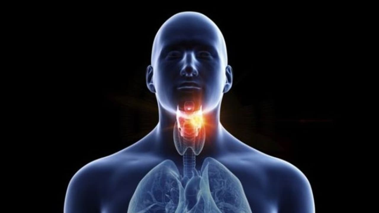 തൊണ്ടയിലെ ക്യാന്സര്; ശ്രദ്ധിക്കണം ഈ കാര്യങ്ങൾ.. തൊണ്ടയിലെ ക്യാന്സര്; ശ്രദ്ധിക്കണം ഈ കാര്യങ്ങൾ..