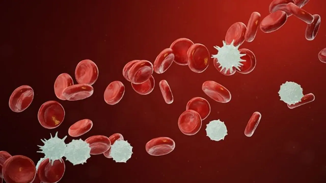 ബ്ലഡ് ക്യാന്സര്; പ്രധാനപ്പെട്ട ലക്ഷണങ്ങൾ ബ്ലഡ് ക്യാന്സര്; പ്രധാനപ്പെട്ട ലക്ഷണങ്ങൾ