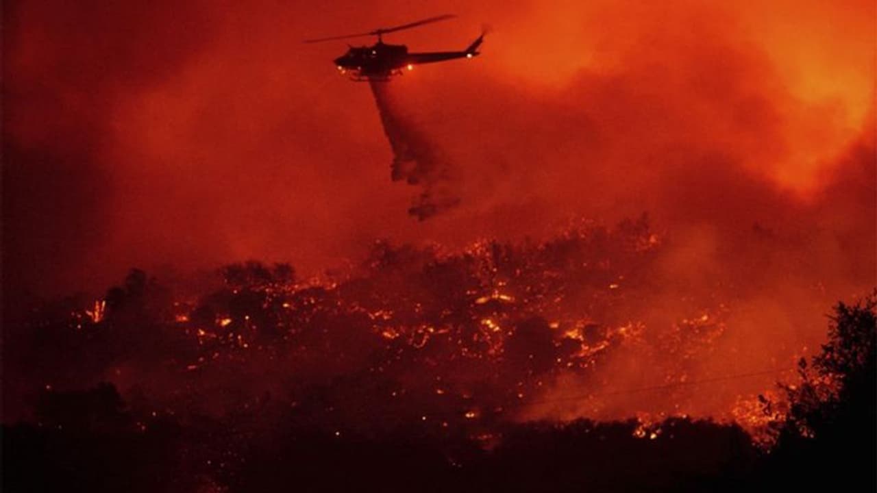 धू धूकर जल रहा है अमेरिका का ये शहर, जलकर राख हो गए सारे जानवर धू धूकर जल रहा है अमेरिका का ये शहर, जलकर राख हो गए सारे जानवर