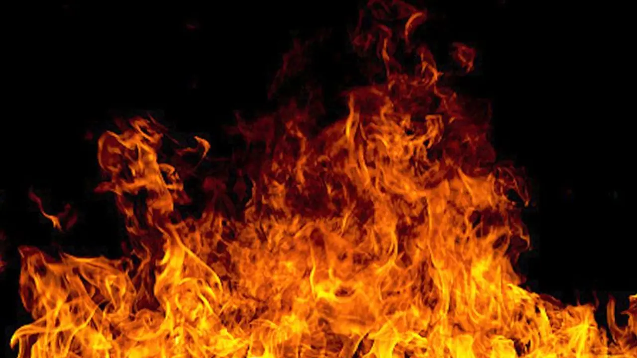 খুন নয় আত্মহত্যা, হায়দরাবাদে দ্বিতীয় দগ্ধ দেহ উদ্ধারের ঘটনায় নিশ্চিন্ত পুলিশ