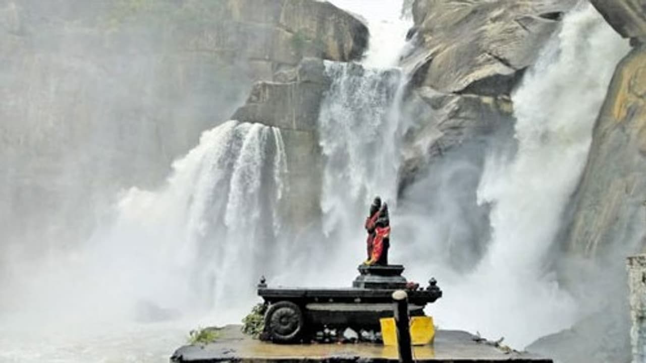 3 ஆண்டுகளுக்குப் பின் தாமிரபரணியில் கரைபுரண்டு ஓடும் வெள்ளம்..! விவசாயிகள் மகிழ்ச்சி..! 3 ஆண்டுகளுக்குப் பின் தாமிரபரணியில் கரைபுரண்டு ஓடும் வெள்ளம்..! விவசாயிகள் மகிழ்ச்சி..!