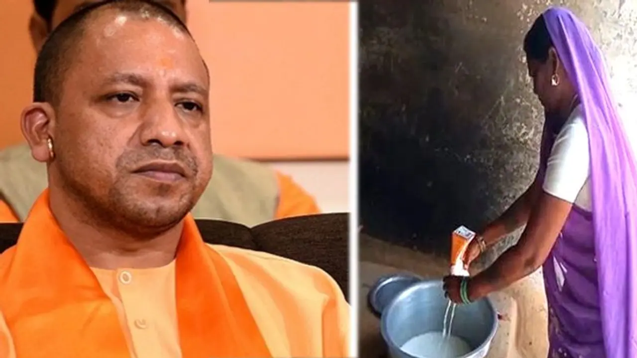 मिड डे मील में पानी वाला दूध देने पर CM योगी ने शिक्षामंत्री को किया तलब, टीचर के खिलाफ FIR दर्ज मिड डे मील में पानी वाला दूध देने पर CM योगी ने शिक्षामंत्री को किया तलब, टीचर के खिलाफ FIR दर्ज