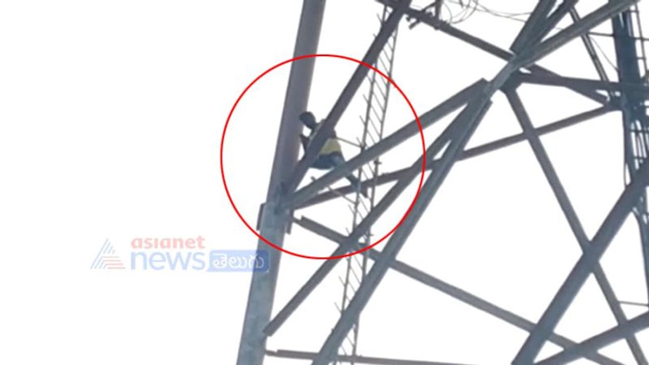 ప్రేమ కోసం టవరెక్కితే.. వాటికి దొరికిపోయాడు...