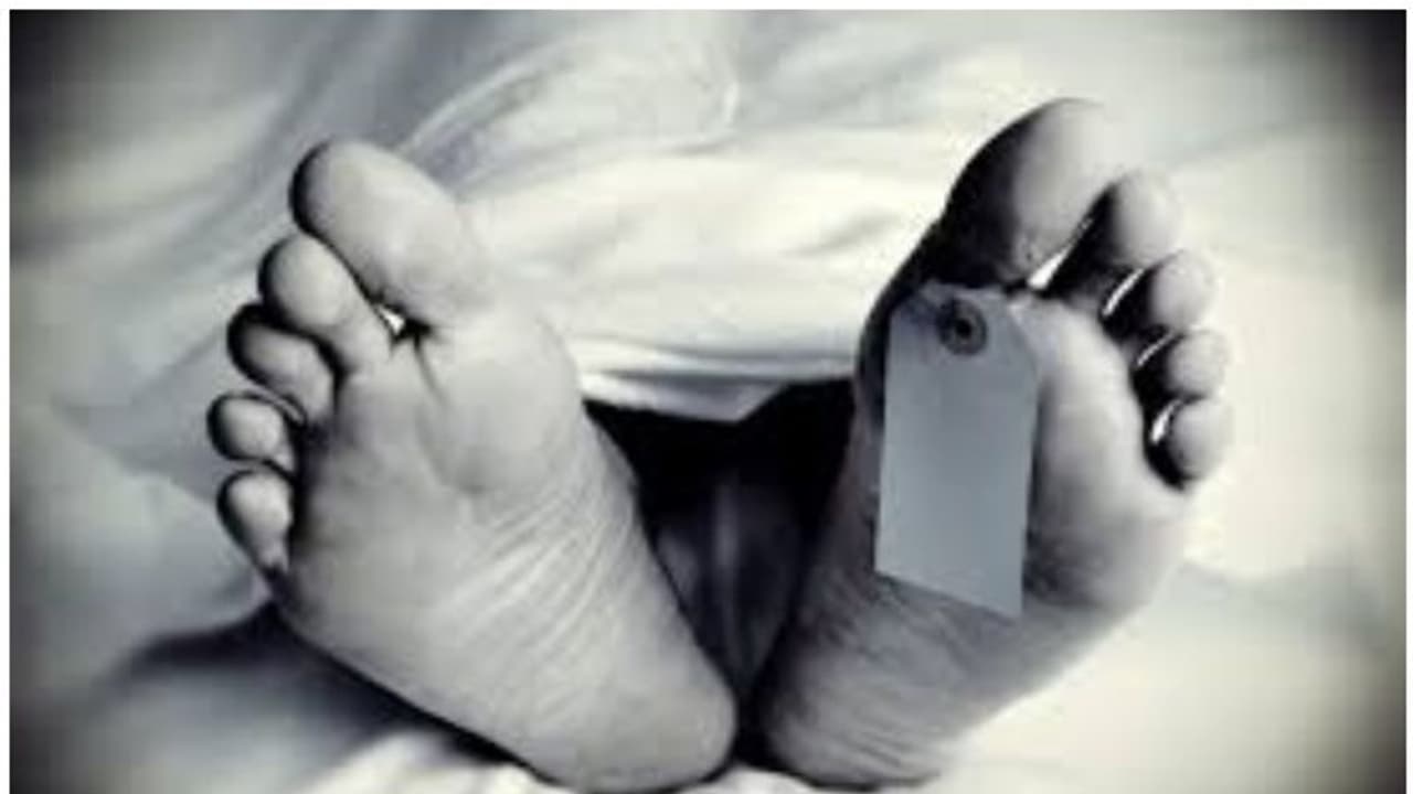 തൊടുപുഴ പൈനാപ്പിൾ തോട്ടത്തിൽ തീപിടുത്തം; കെടുത്താന്‍ ശ്രമിച്ച സ്ഥലമുടമ പൊള്ളലേറ്റ് മരിച്ചു