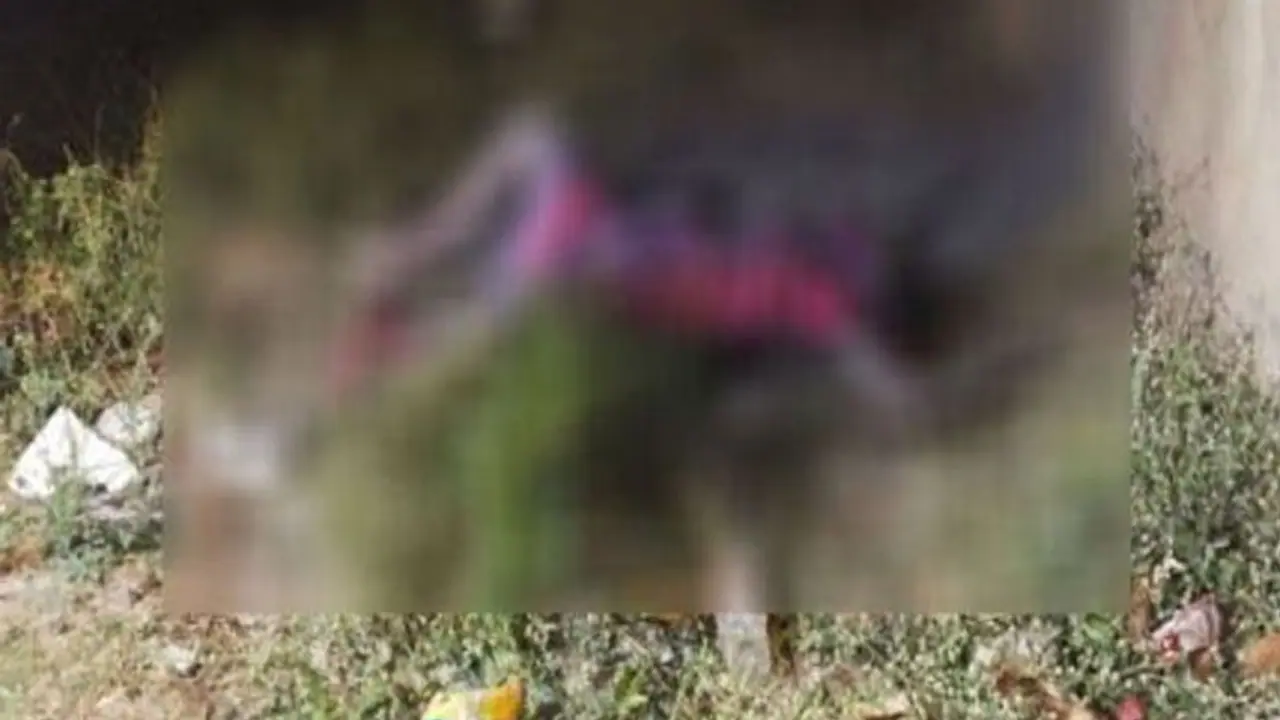 தெலுங்கானாவில் அடுத்த அதிர்ச்சி... பலாத்காரம் செய்து உயிருடன் கொடூரமாக எரிக்கப்பட்ட மற்றொரு பெண் சடலம்..! தெலுங்கானாவில் அடுத்த அதிர்ச்சி... பலாத்காரம் செய்து உயிருடன் கொடூரமாக எரிக்கப்பட்ட மற்றொரு பெண் சடலம்..!