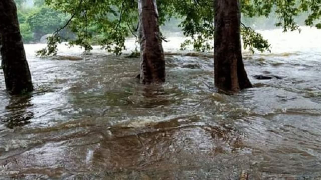 പ്രളയത്തിൽ ഒലിച്ചുപോയ ഓട്ടോ കണ്ടെത്തിയത് അഞ്ച് മാസങ്ങൾക്കു ശേഷം: ഏകവരുമാനം നിലച്ച് ദുരിതത്തിലായി യുവാവ് പ്രളയത്തിൽ ഒലിച്ചുപോയ ഓട്ടോ കണ്ടെത്തിയത് അഞ്ച് മാസങ്ങൾക്കു ശേഷം: ഏകവരുമാനം നിലച്ച് ദുരിതത്തിലായി യുവാവ്