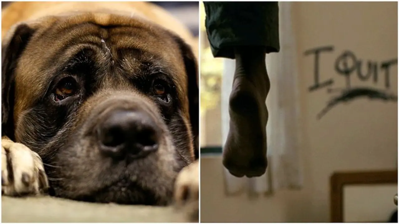 செல்லப்பிராணிக்காக உயிரை துறந்த எஜமானர்..! நெஞ்சை உருக்கும் சம்பவம்..! செல்லப்பிராணிக்காக உயிரை துறந்த எஜமானர்..! நெஞ்சை உருக்கும் சம்பவம்..!