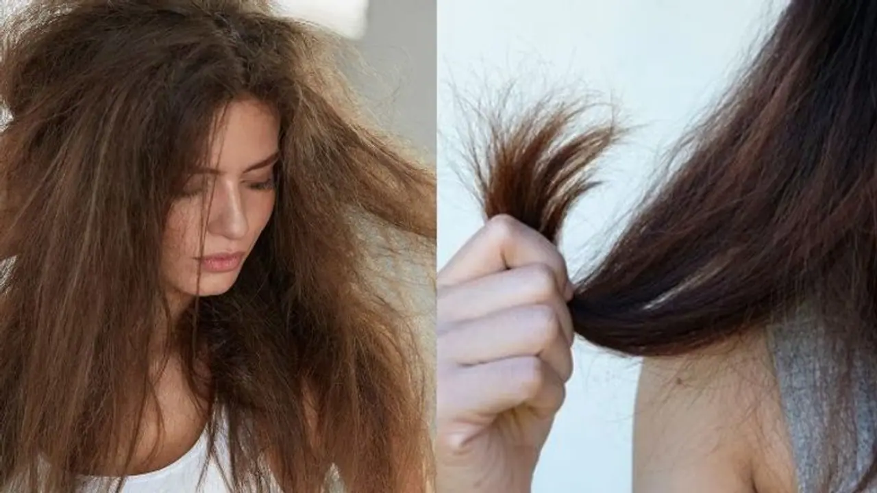 തലമുടി വരണ്ട് വിണ്ടുകീറുന്നുണ്ടോ? ഈ മാസ്ക് ഉപയോഗിച്ച് നോക്കൂ... തലമുടി വരണ്ട് വിണ്ടുകീറുന്നുണ്ടോ? ഈ മാസ്ക് ഉപയോഗിച്ച് നോക്കൂ...