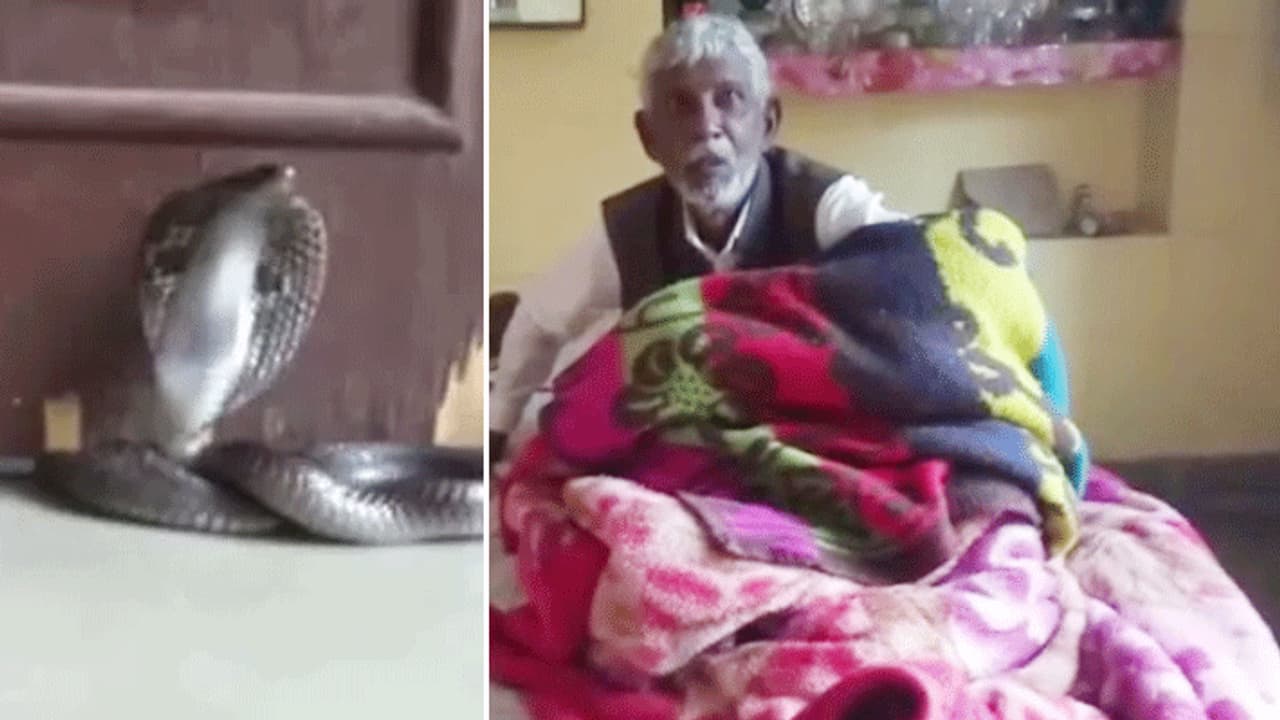 सुबह आंख खुलते ही दरवाजे पर दिखा कोबरा सांप, दहशत में पूरा परिवार फिर से चला गया सोने... सुबह आंख खुलते ही दरवाजे पर दिखा कोबरा सांप, दहशत में पूरा परिवार फिर से चला गया सोने...