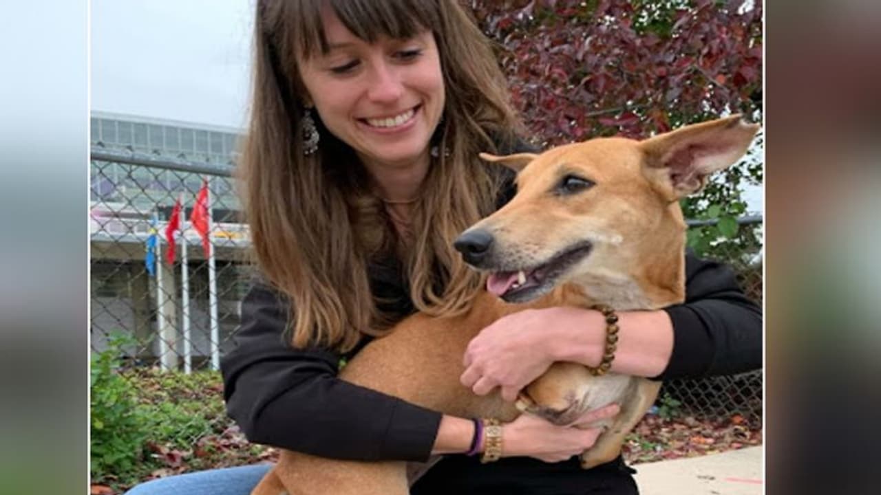 इंटरनेट पर इस स्ट्रीट डॉग की दर्दभरी कहानी पढ़कर भावुक हुआ अमेरिका का कपल, ले लिया गोद इंटरनेट पर इस स्ट्रीट डॉग की दर्दभरी कहानी पढ़कर भावुक हुआ अमेरिका का कपल, ले लिया गोद