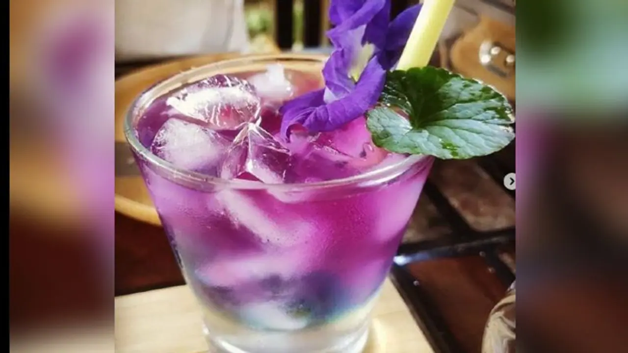 বেগুনি চা কীভাবে শরীরের উপকার করে, জেনে নিন বেগুনি চা কীভাবে শরীরের উপকার করে, জেনে নিন