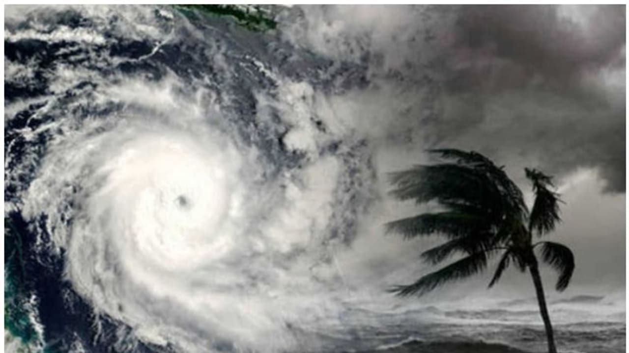 ന്യൂനമർദ്ദം ശക്തി പ്രാപിച്ചു; മത്സ്യത്തൊഴിലാളികള്ക്ക് ജാഗ്രതാ നിര്ദ്ദേശം ന്യൂനമർദ്ദം ശക്തി പ്രാപിച്ചു; മത്സ്യത്തൊഴിലാളികള്ക്ക് ജാഗ്രതാ നിര്ദ്ദേശം