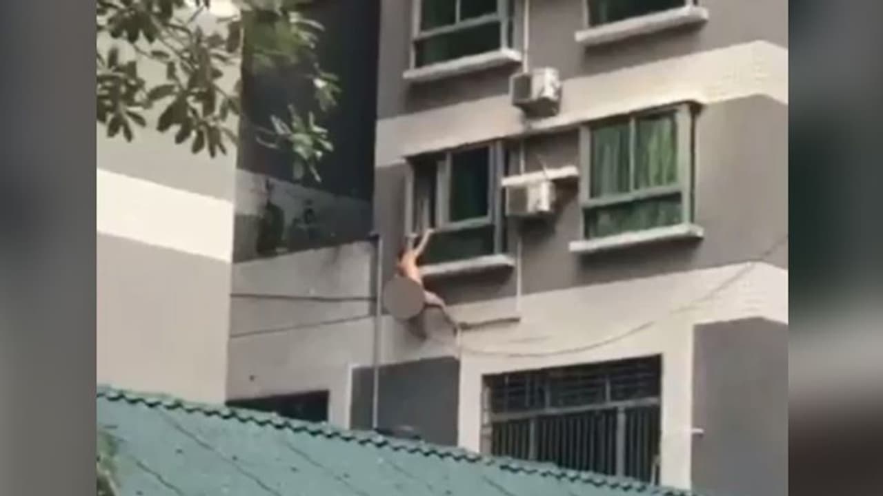 घरवाले के आते ही प्रेमिका ने बाहरवाले को खदेड़ा, चौथी मंजिल पर बिन कपड़ों के लटका दिया घरवाले के आते ही प्रेमिका ने बाहरवाले को खदेड़ा, चौथी मंजिल पर बिन कपड़ों के लटका दिया