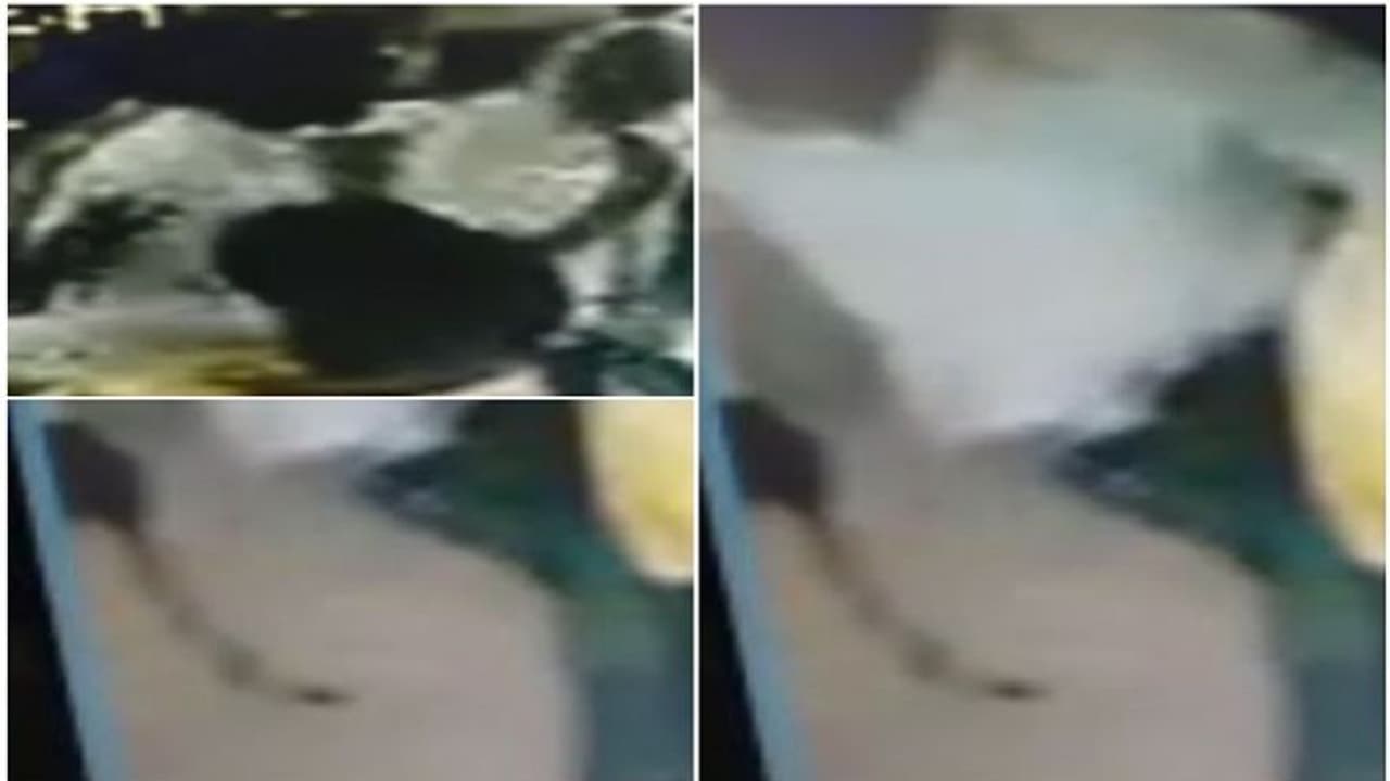 ಸಿನಿಮೀಯ ರೀತಿಯಲ್ಲಿ ಮಚ್ಚು ಹಿಡಿದು ಬ್ಯಾಂಕಿನೊಳಗೆ ನುಗ್ಗಿದ ಯುವಕ