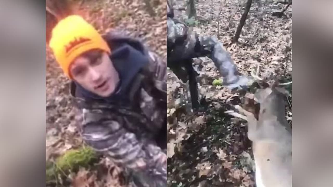 बुरी तरह तड़पते हिरण पर हंस रहे थे युवक, फिर हंसते हुए बेदर्दी से उखाड़ दिए सींघ बुरी तरह तड़पते हिरण पर हंस रहे थे युवक, फिर हंसते हुए बेदर्दी से उखाड़ दिए सींघ