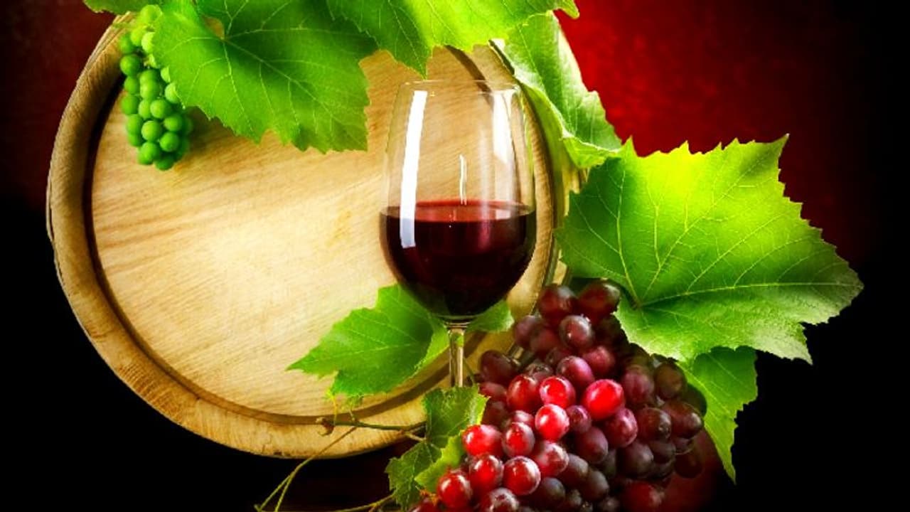 யூடியூப் பார்த்து கள்ளச்சாராயம் காய்ச்சிய வாலிபர்கள்..! காவலர்களிடம் வசமாக சிக்கினர்..! யூடியூப் பார்த்து கள்ளச்சாராயம் காய்ச்சிய வாலிபர்கள்..! காவலர்களிடம் வசமாக சிக்கினர்..!