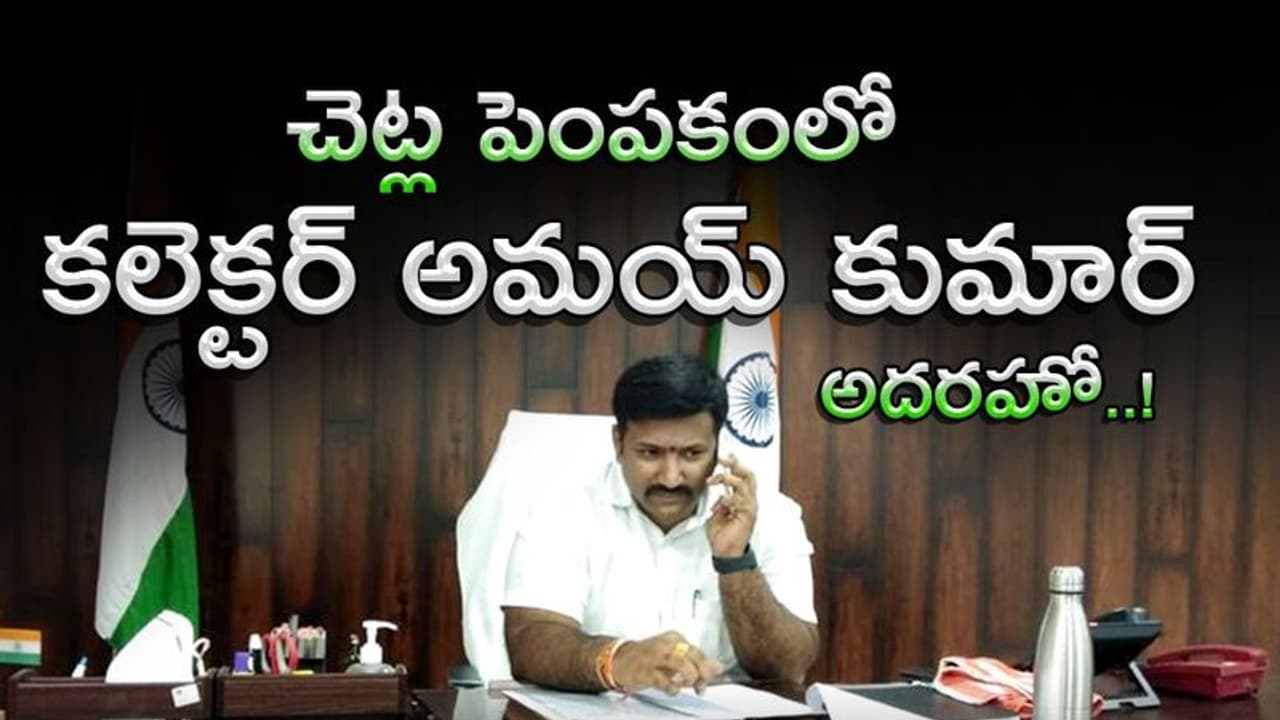 చెట్ల పెంపకంలో కలెక్టర్ అమయ్ కుమార్ తీరే వేరు చెట్ల పెంపకంలో కలెక్టర్ అమయ్ కుమార్ తీరే వేరు