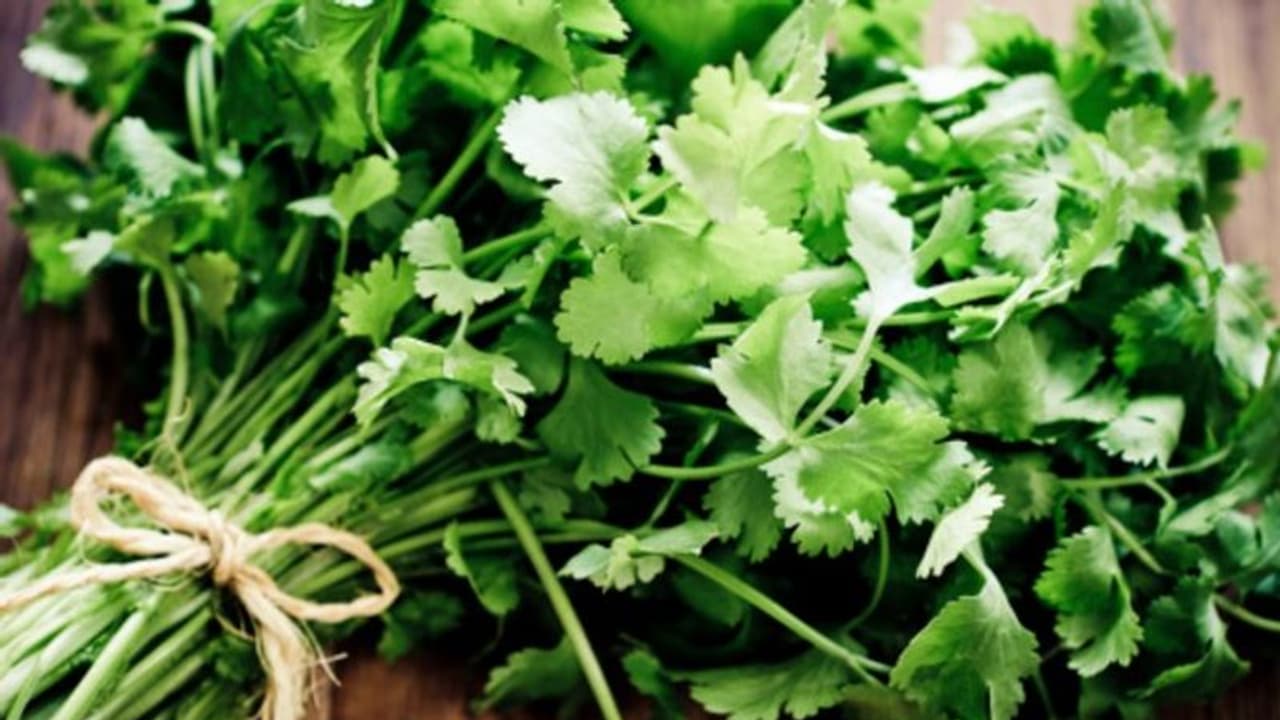 ডায়াবেটিস থেকে কোলেস্টেরল, নিয়ন্ত্রণে রাখতে কার্যকরী ধনেপাতা ডায়াবেটিস থেকে কোলেস্টেরল, নিয়ন্ত্রণে রাখতে কার্যকরী ধনেপাতা