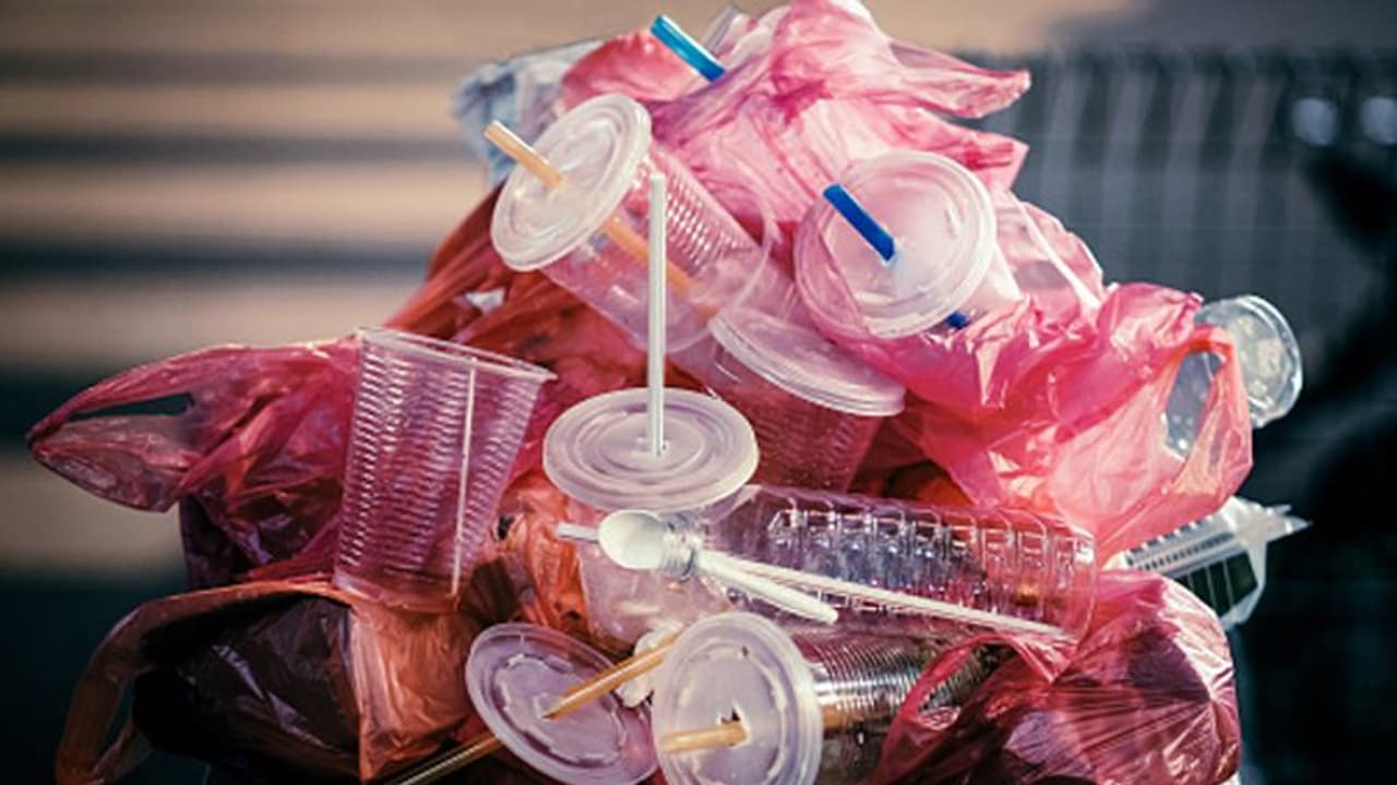 മൂന്നാറും സമ്പൂര്ണ്ണ പ്ലാസ്റ്റിക് നിരോധനത്തിലേക്ക്, ഡിസംബര് 30 മുതല് ആദ്യ ചെക്ക് പോസ്റ്റ് പ്രവര്ത്തനം തുടങ്ങും മൂന്നാറും സമ്പൂര്ണ്ണ പ്ലാസ്റ്റിക് നിരോധനത്തിലേക്ക്, ഡിസംബര് 30 മുതല് ആദ്യ ചെക്ക് പോസ്റ്റ് പ്രവര്ത്തനം തുടങ്ങും