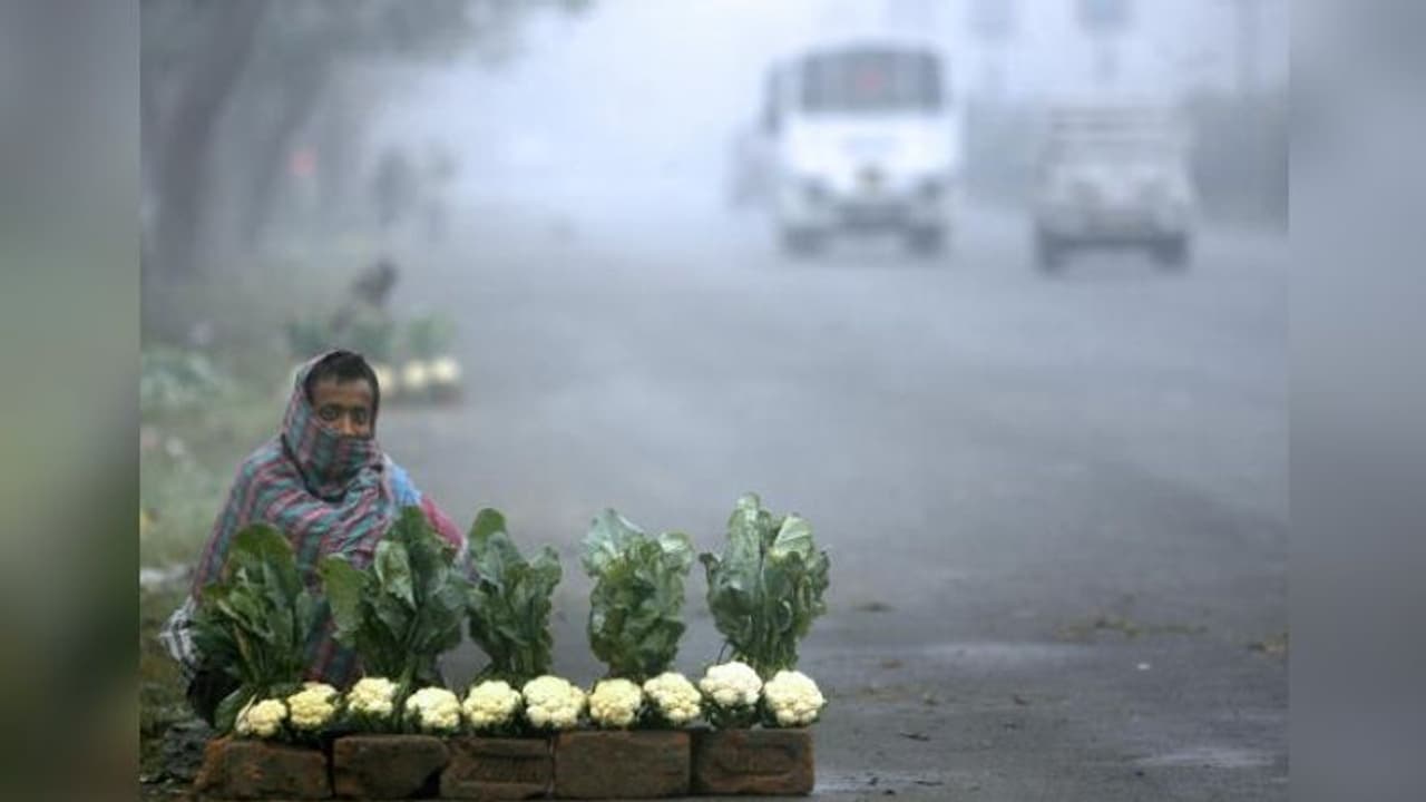 অবশেষে শীতের দেখা মিলল শহরে , পারদ নামতে পারে ১৭ এর নীচে অবশেষে শীতের দেখা মিলল শহরে , পারদ নামতে পারে ১৭ এর নীচে