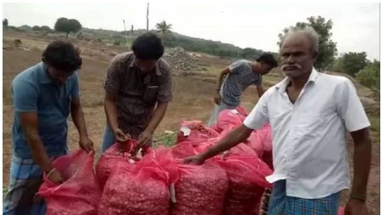 വിലയ്ക്കൊപ്പം മോഷണവും വര്ധിക്കുന്നു; 350 കിലോ ഉള്ളി മോഷണം പോയതായി കര്ഷകന് വിലയ്ക്കൊപ്പം മോഷണവും വര്ധിക്കുന്നു; 350 കിലോ ഉള്ളി മോഷണം പോയതായി കര്ഷകന്