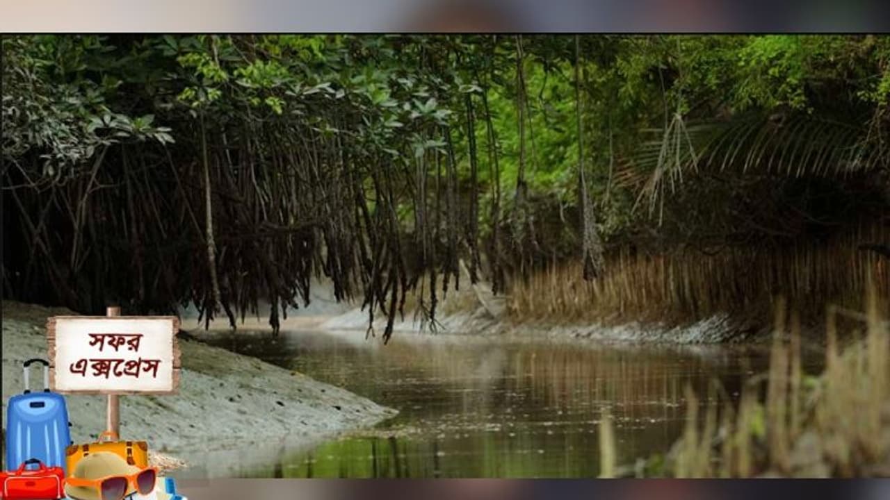শীতের ছুটিতে সস্তার ট্রিপের খোঁজ, তালিকায় রাখুন সুন্দরবন