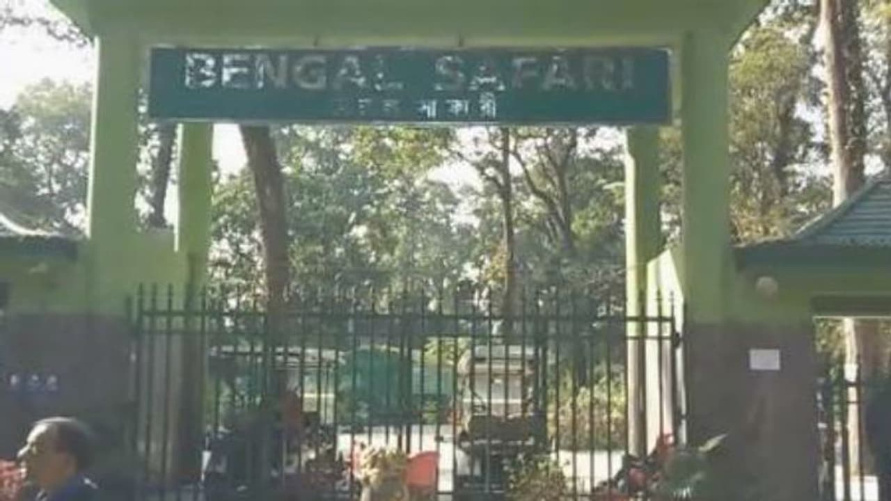 হঠাৎ বিকল বাস, শিলিগুড়িতে বাঘের মুখ থেকে ফিরলেন পর্যটকরা হঠাৎ বিকল বাস, শিলিগুড়িতে বাঘের মুখ থেকে ফিরলেন পর্যটকরা